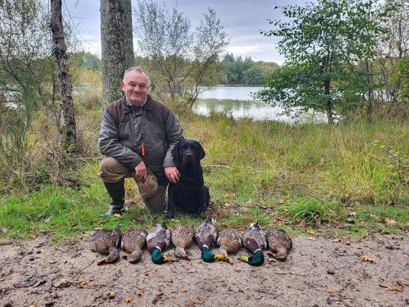 Publication : of misty dreams Auteur : Phil