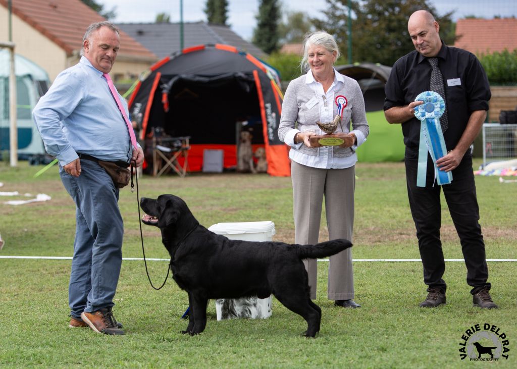 Publication : of misty dreams Auteur : Phil