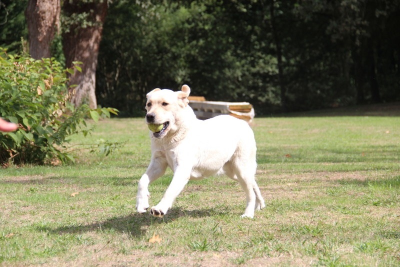 Publication : of misty dreams