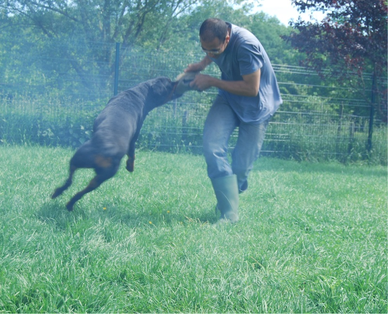 Publication : du domaine d'Etna