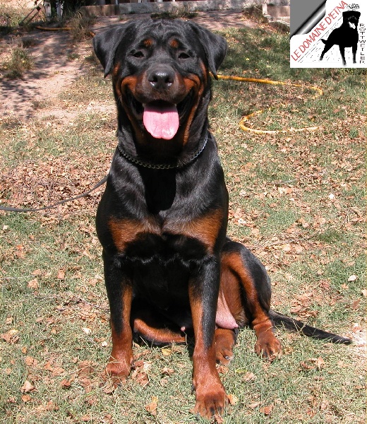 Publication : du domaine d'Etna