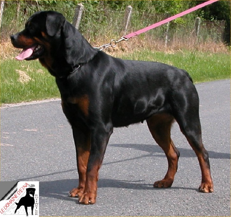 Publication : du domaine d'Etna