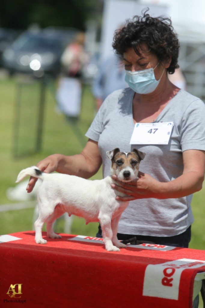 Publication : du Domaine de la Clairiere aux Loups Auteur : Sophia Anastassiades