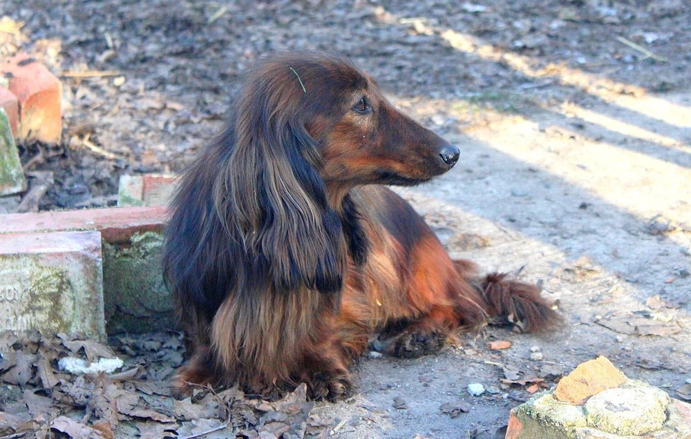 Publication : Of Moonlight Blue