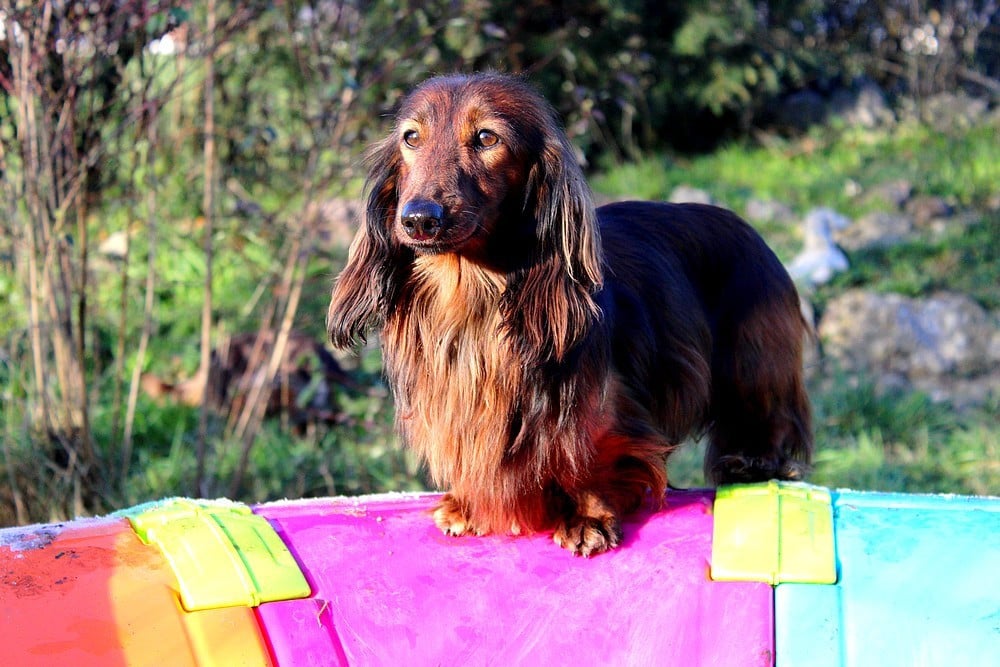 Publication : Of Moonlight Blue