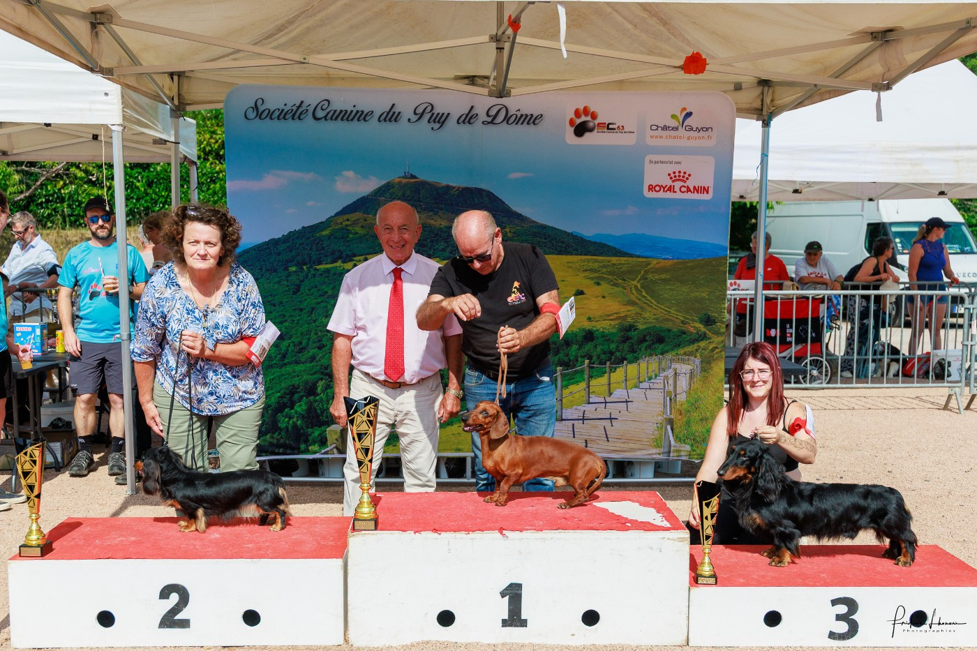 CH. hillberry Licorice lane sl - 1er EXC CACS BOB BOG3