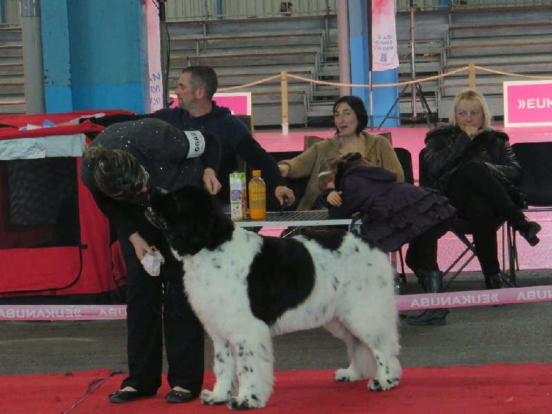 Feeling de la ferme de Terranova - 4 ème EXC CTF