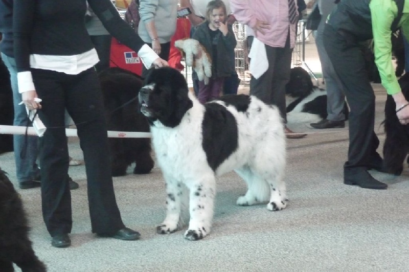 Feeling de la ferme de Terranova - 4 ème EXC COF