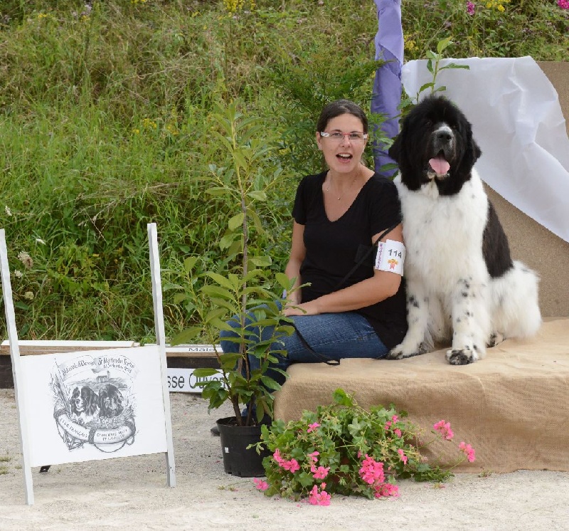 Feeling de la ferme de Terranova - 1 ère EXC CTF