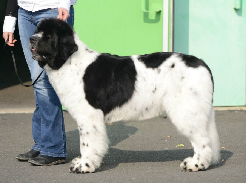 Feeling de la ferme de Terranova - 3 éme EXC COF