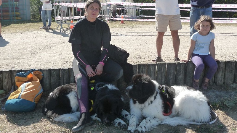 Feeling de la ferme de Terranova - 1er DEGRE - 72/100 TB