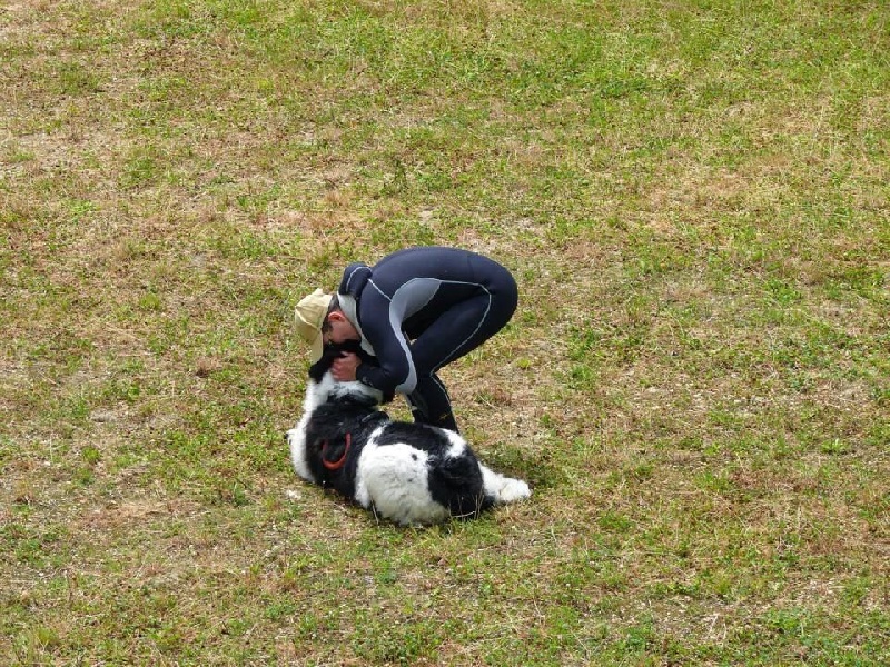 Feeling de la ferme de Terranova - SELECTIF 63/100