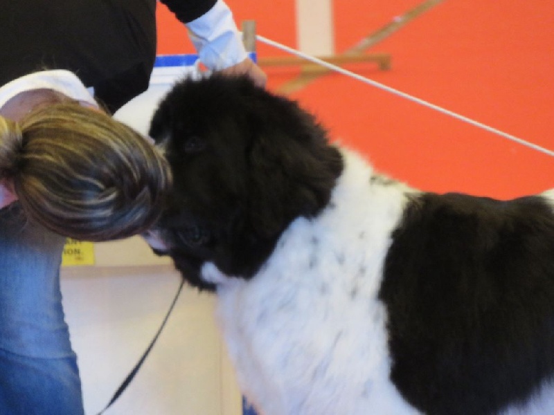 Feeling de la ferme de Terranova - 2 ème EXC COF - RCAC