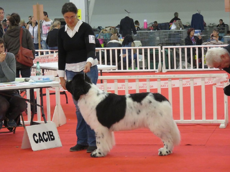 Feeling de la ferme de Terranova - 4 ème EXC COF