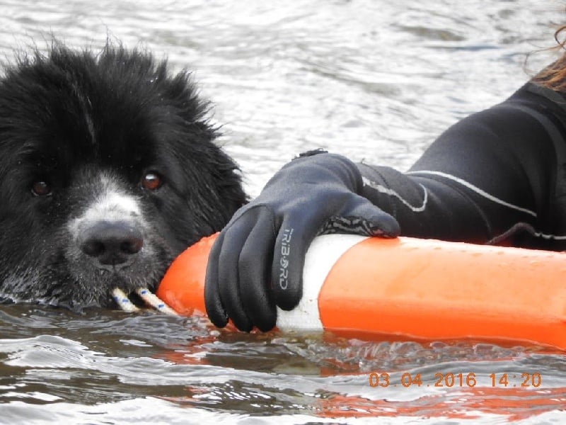 Feeling de la ferme de Terranova - 59,5 / 100 NC