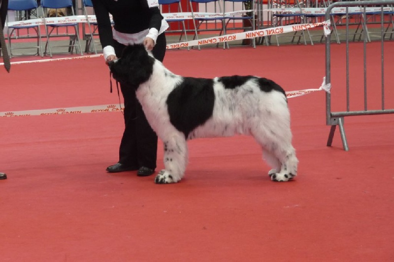 Feeling de la ferme de Terranova - 3 ème EXC COF