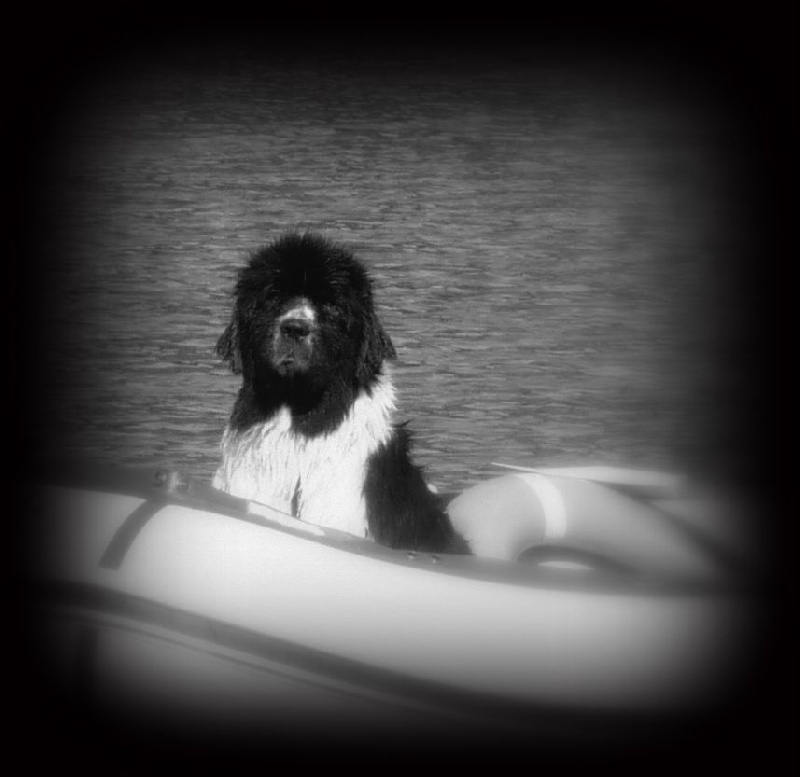 Feeling de la ferme de Terranova - 84/100 EXC