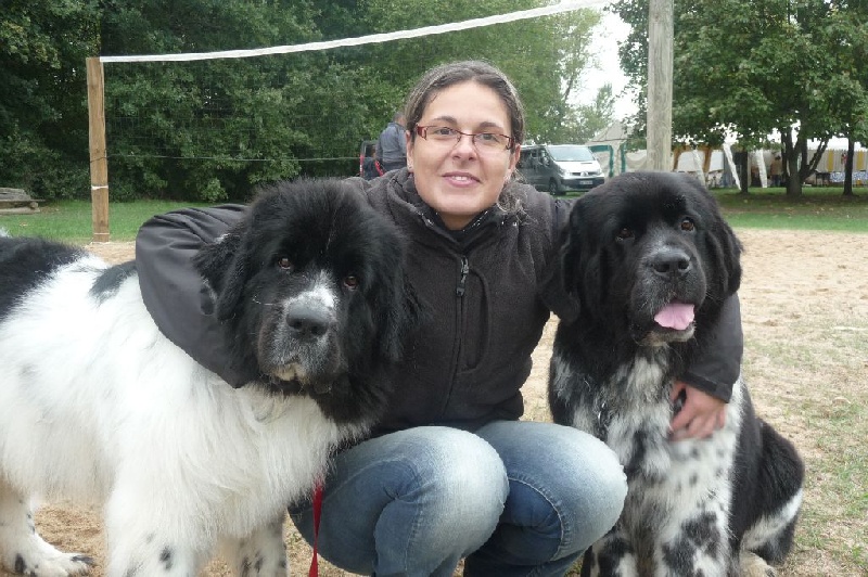 Feeling de la ferme de Terranova - 3 ème DEGRE - 72/100 TB