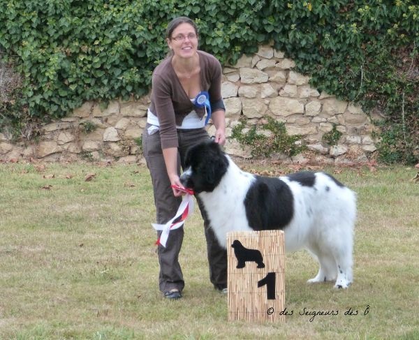 Feeling de la ferme de Terranova - 1ère EXC CIF