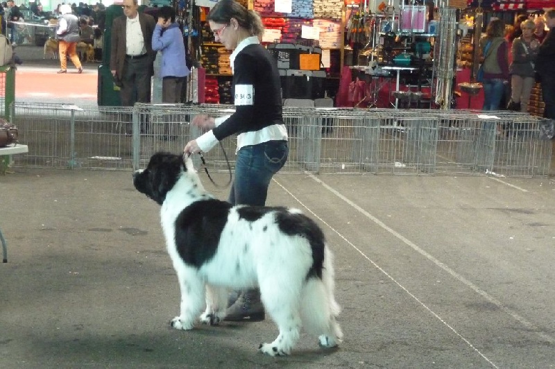 Feeling de la ferme de Terranova - 2ème EXC CJF