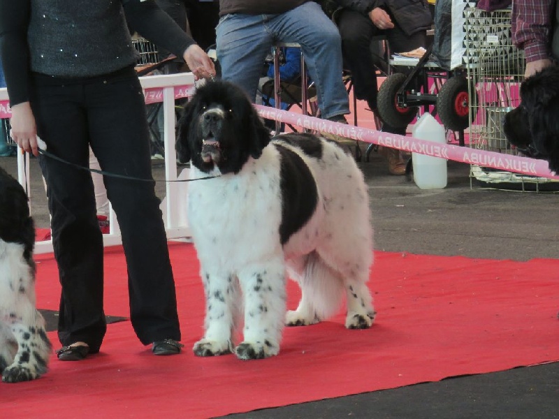 Feeling de la ferme de Terranova - EXC COF