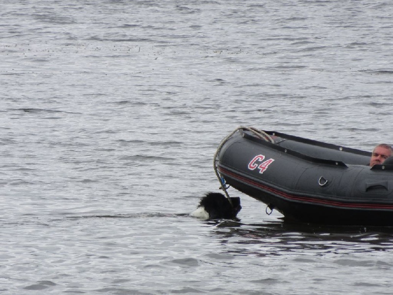 Feeling de la ferme de Terranova - 4 ème EXC 84,5/100