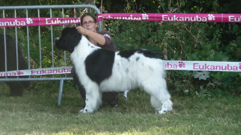 Feeling de la ferme de Terranova - 1ère EXC CIF