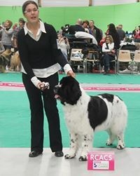 Feeling de la ferme de Terranova - 2e EXC COF - RCACS