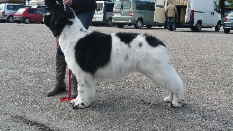 Feeling de la ferme de Terranova - 3 ème EXC CJF