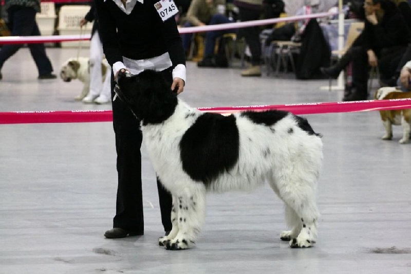 Feeling de la ferme de Terranova - 2ème EXC CJF