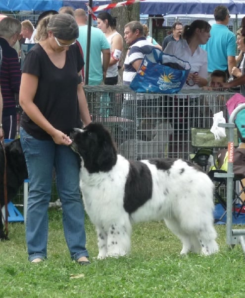 Feeling de la ferme de Terranova - EXC COF