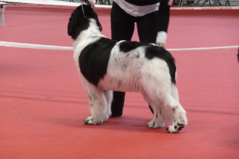 Feeling de la ferme de Terranova - 2 ème EXC COF