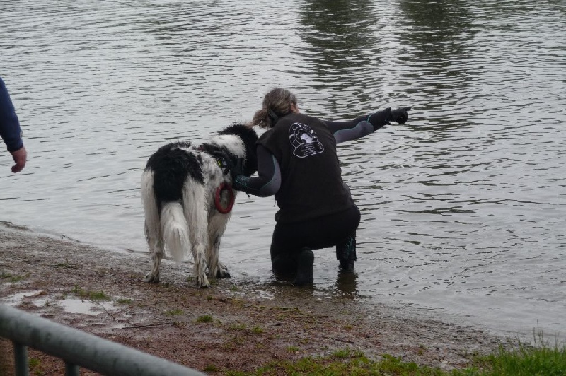 Feeling de la ferme de Terranova - SELECTIF 65/100