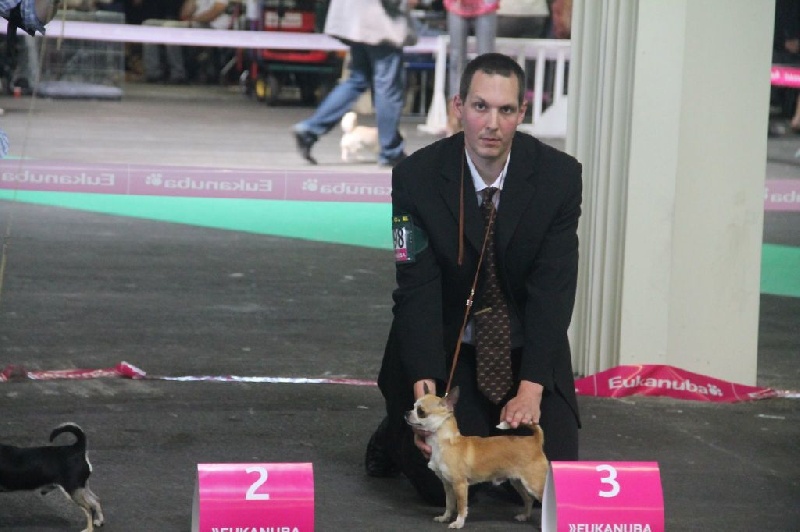 Indiana jones Des Petits Empereurs - 3ème Excellent - Classe Jeune