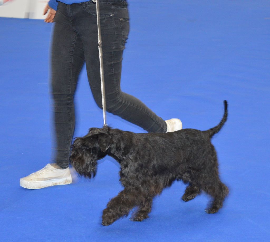 Publication : De Tierra Lemi Auteur : R chougui