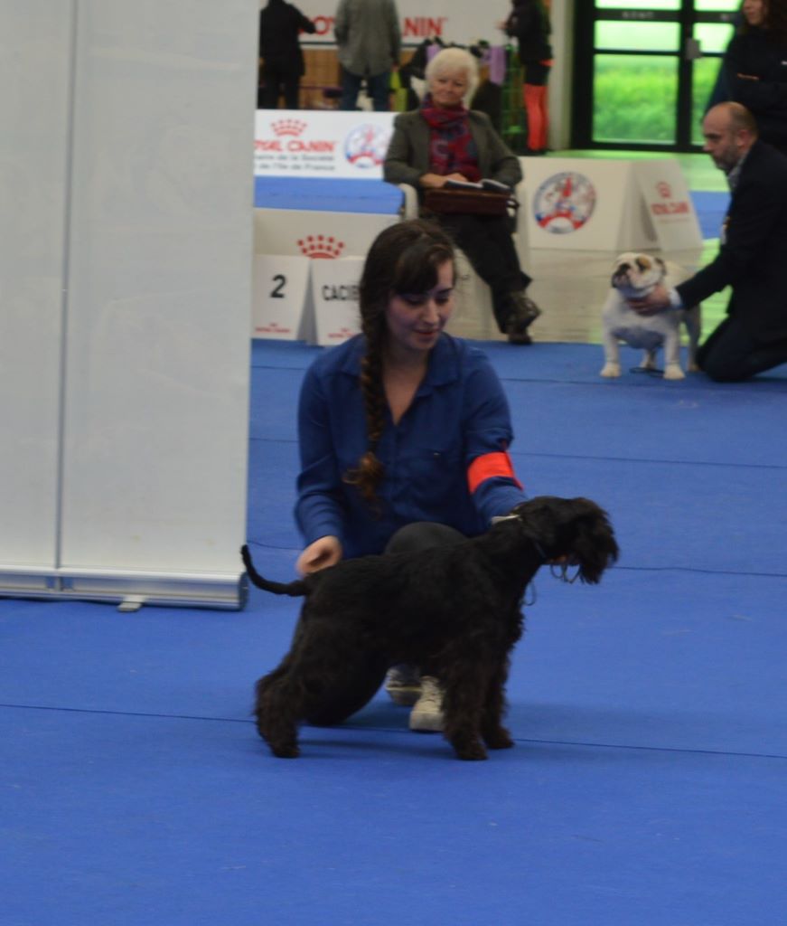 Publication : De Tierra Lemi Auteur : R chougui