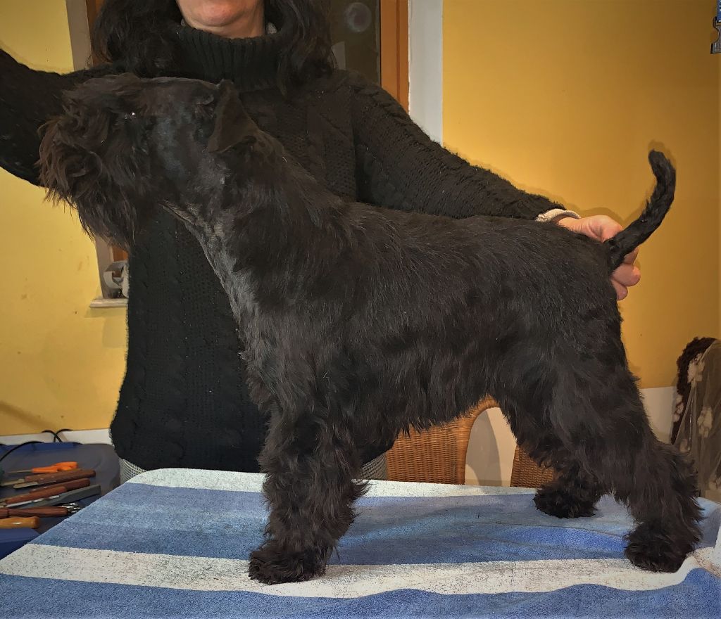 Publication : De Tierra Lemi Auteur : R chougui