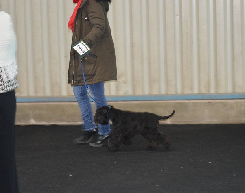 Publication : De Tierra Lemi Auteur : R chougui