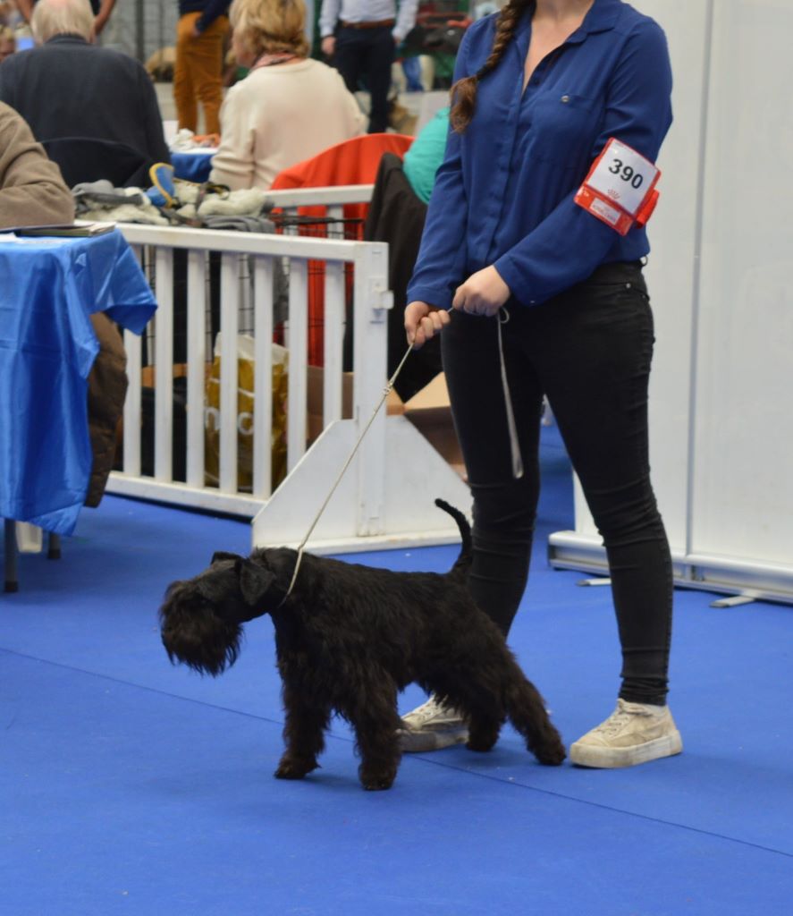 Publication : De Tierra Lemi Auteur : R chougui