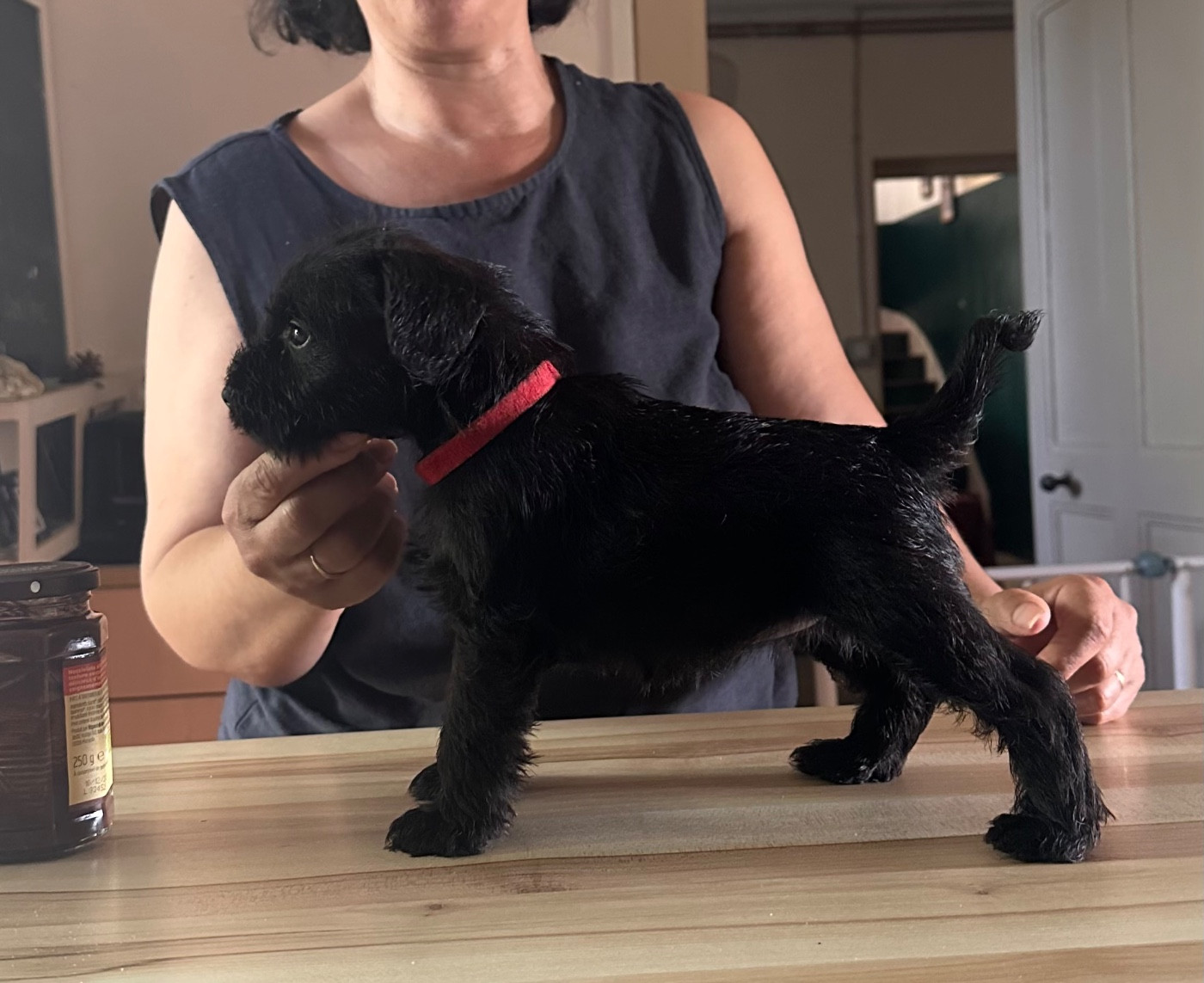 CHIOT 2