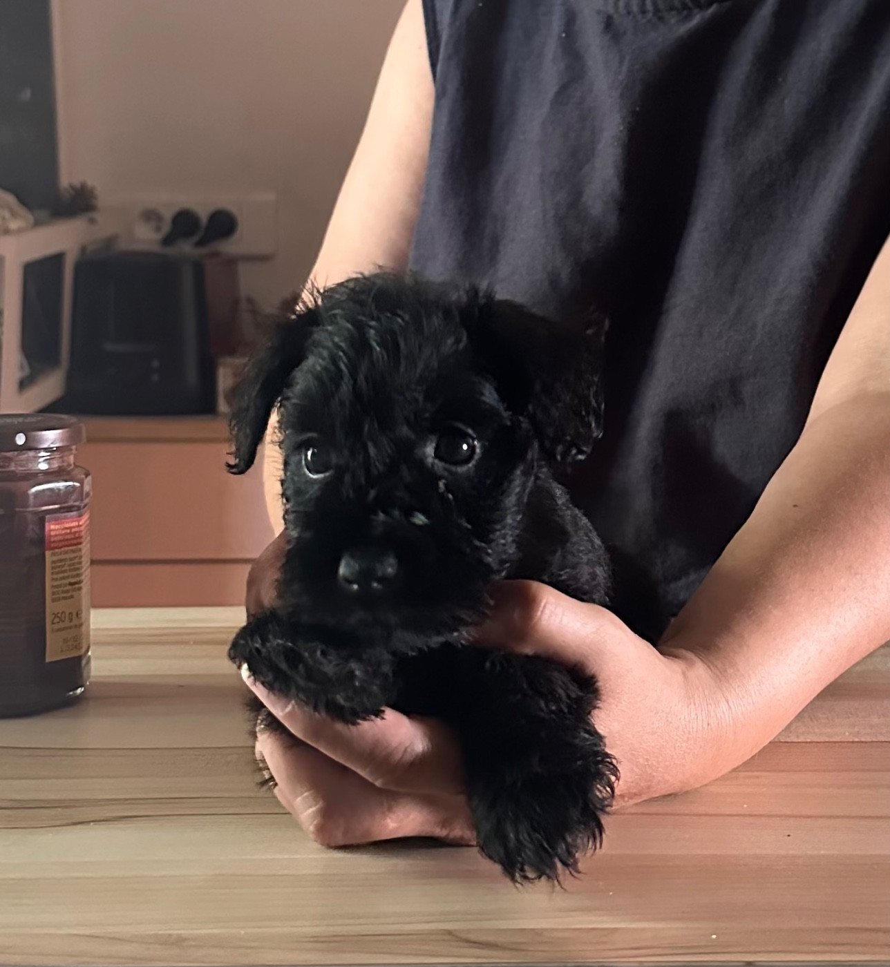 CHIOT 3