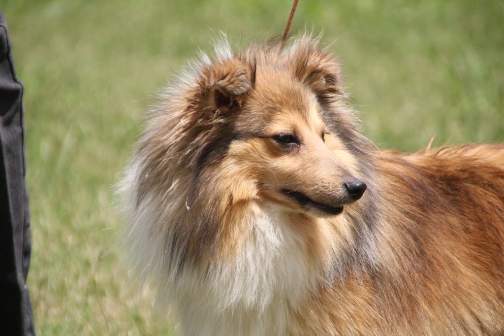 Publication : Des Doudous De La Grave