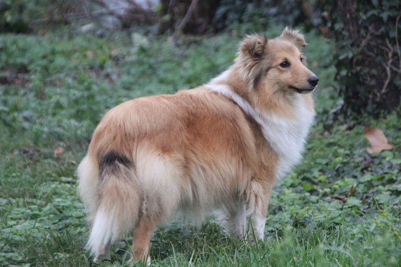 Publication : Vanora Jone's