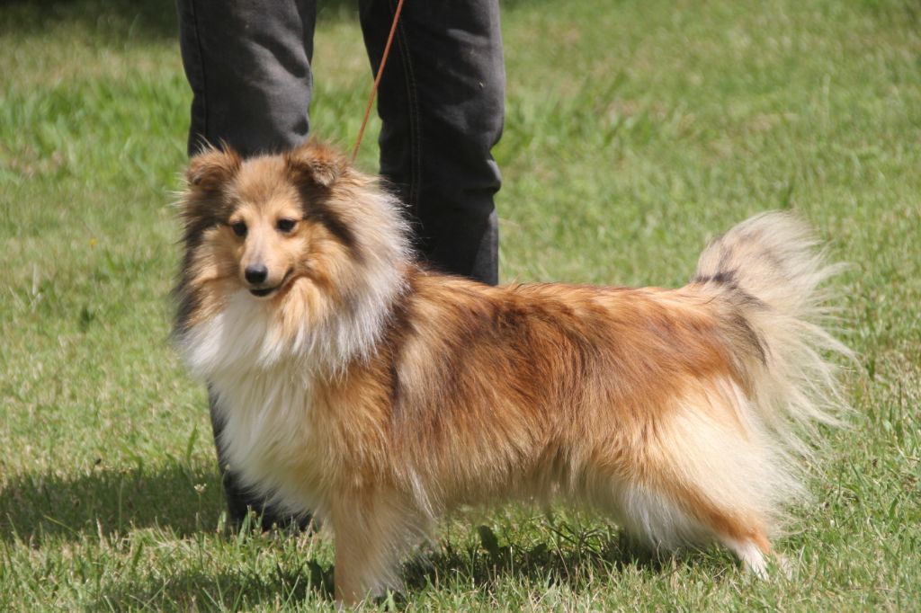 Publication : Des Doudous De La Grave