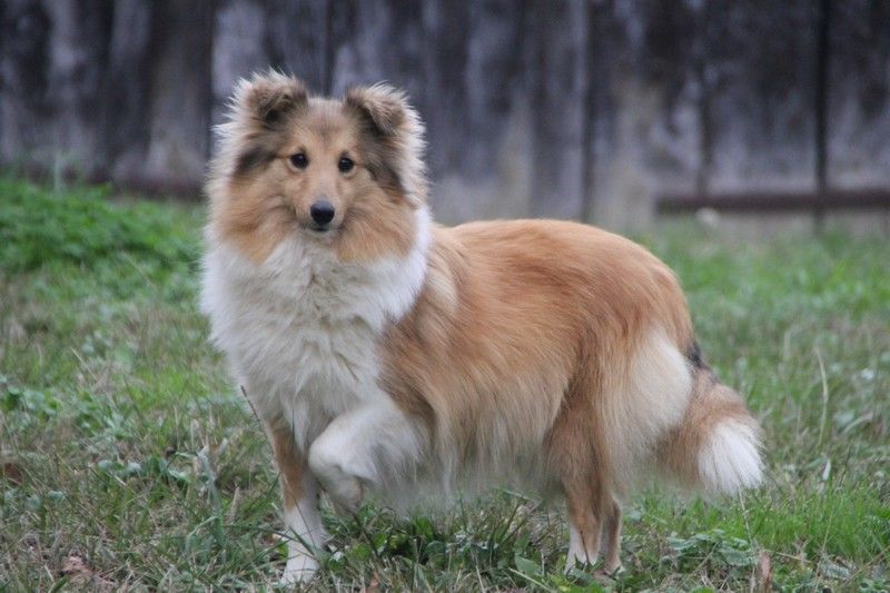 Publication : Vanora Jone's