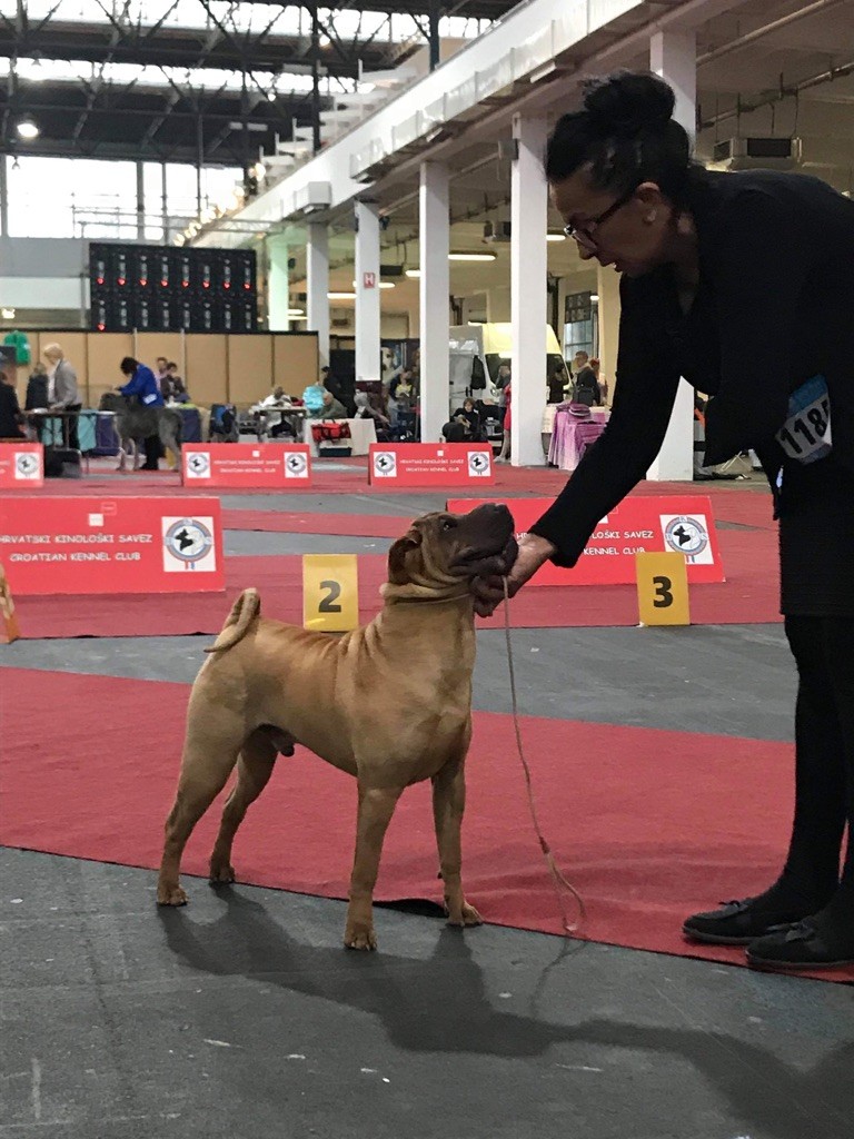Orkaan Du Bouquet Imperial - 2 EME TRES PROMETTEUR