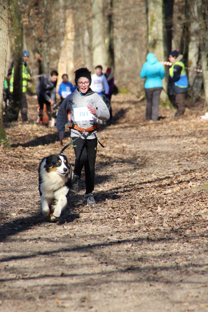 Love me like you do du chemin des korrigans - Fini 3ème