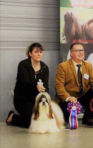 Last walking des joyaux du mas enchante - 1er Excellent C. Ouverte Mâle CACS - BOB