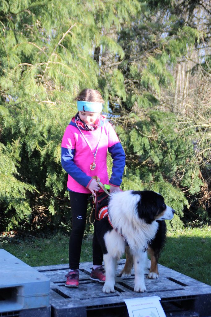 Love me like you do du chemin des korrigans - Fini 2ème