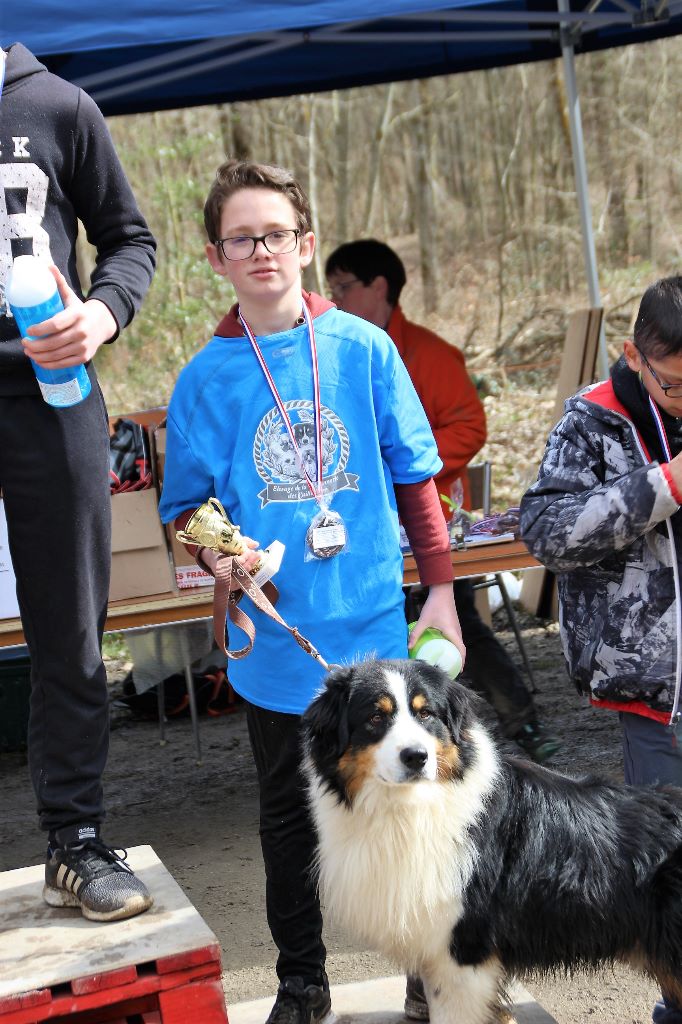 Love me like you do du chemin des korrigans - Fini 3ème